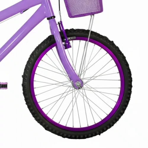 Bicicleta 20 Feminina Lilás Infantil Aro Alumínio Violeta