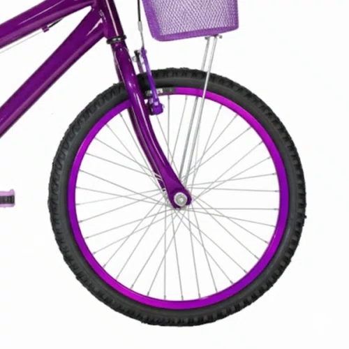 Bicicleta 20 Feminina Violeta Infantil Aro Alumínio Violeta