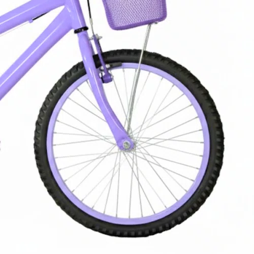 Bicicleta 20 Feminina Lilás Infantil Aro Alumínio Lilás