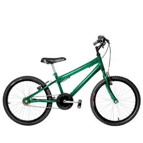 Bicicleta 20 Masculina Verde Escuro Infantil Aro Alumínio Preto