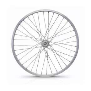 Roda Traseira Aro 20 De Aluminio Raio Grosso