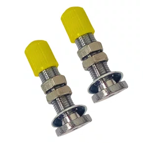 Válvula Bico Grosso Americano WG Sports Niquelado 35.5mm