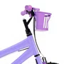 Bicicleta 16 Feminina Lilás Infantil Rodas Nylon Lilás
