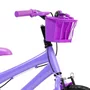 Bicicleta 16 Feminina Lilás Infantil Aro Alumínio