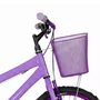 Bicicleta 20 Feminina Lilás Infantil Aro Alumínio Violeta