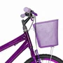 Bicicleta 20 Feminina Violeta Infantil Aro Alumínio Violeta