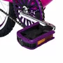 Bicicleta 24 Feminina Pink Aro Aero Violeta