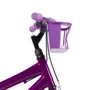 Bicicleta 16 Feminina Violeta Infantil Aro Alumínio Lilás